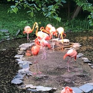 Meet your Posher, Catrina